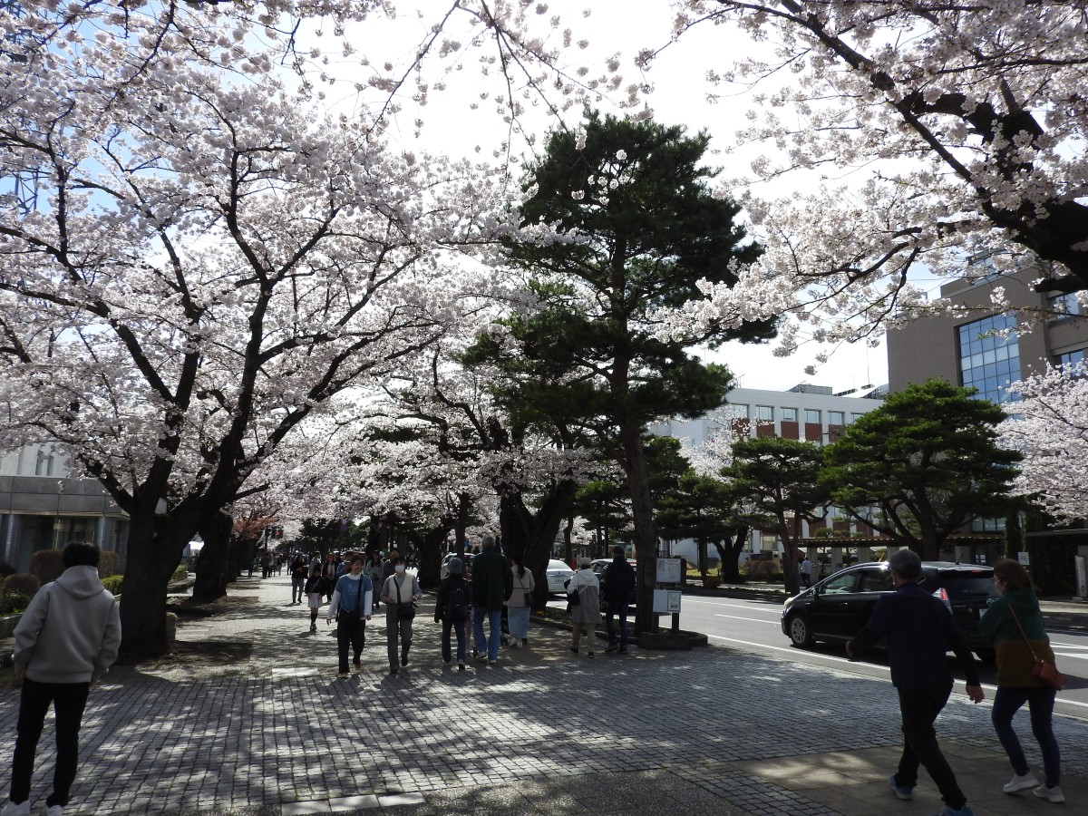 官庁街通り